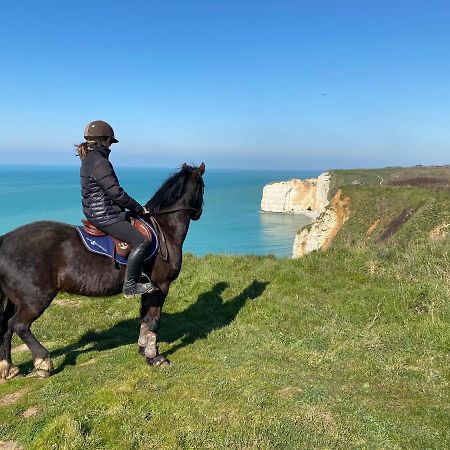 Bed and Breakfast Domaine Equestre Etretat Le Tilleul Exterior foto